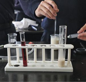 A container used in a Biology class